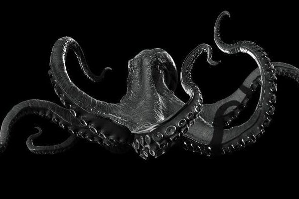 Брут сайта kraken